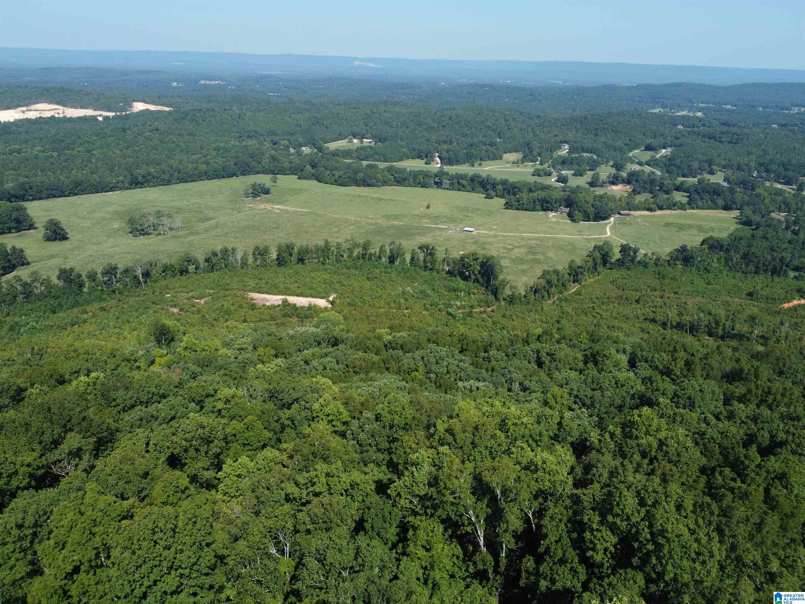 0 Beaver Mountain Road Ashville, AL 35953 - Photo 28 of 40
