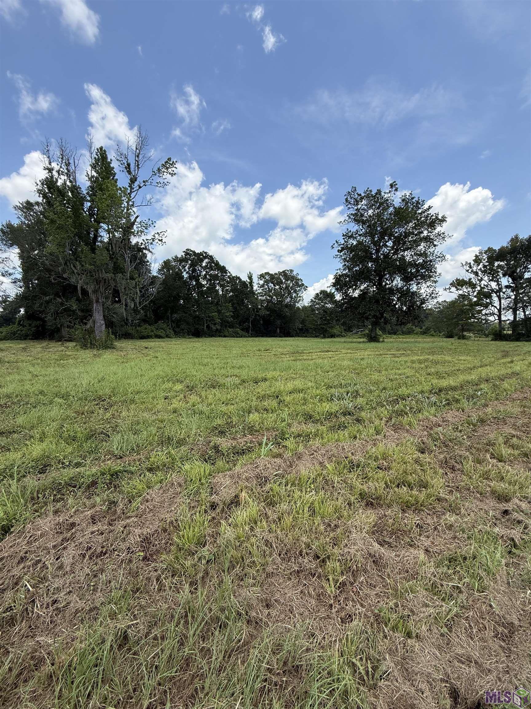 22390 Plank Road Zachary, LA 70791 - Photo 7 of 8