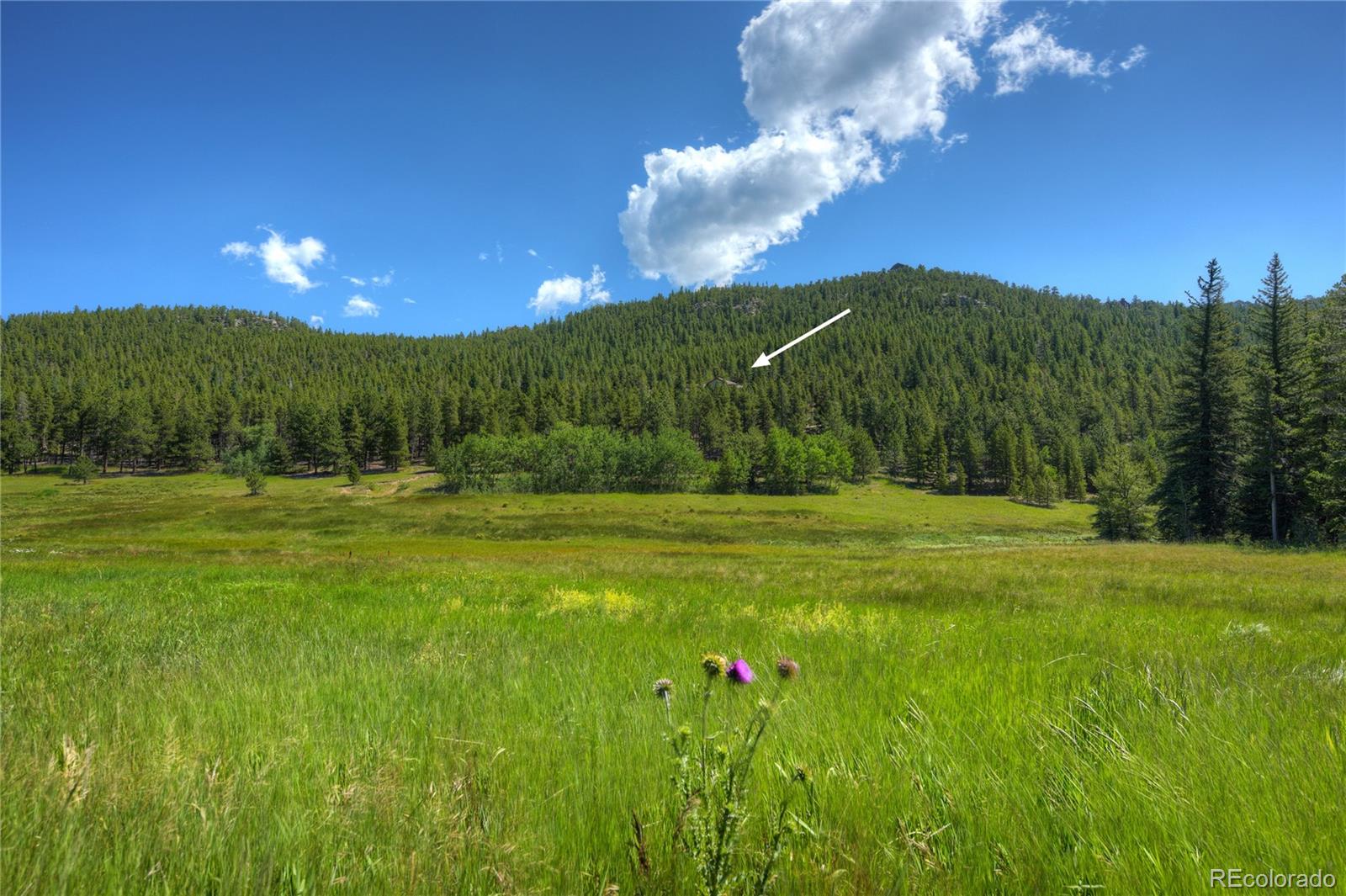 11672 Camp Eden Road Golden, CO 80403 - Photo 33 of 40 Gallery Image 33