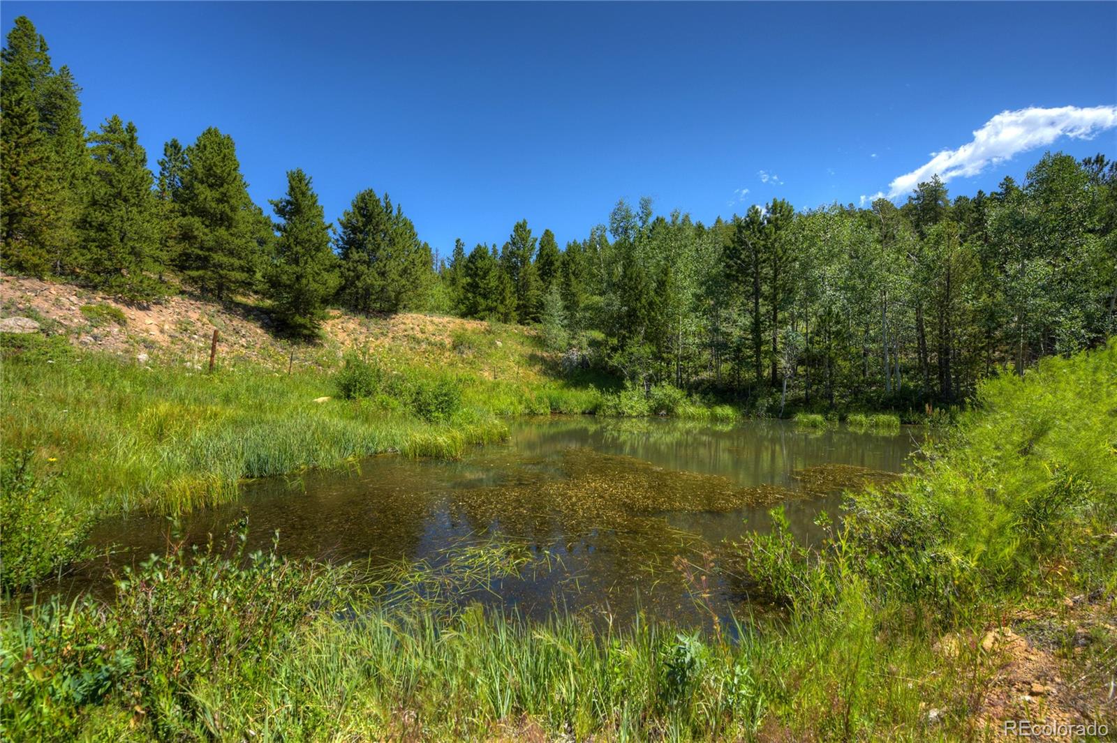 11672 Camp Eden Road Golden, CO 80403 - Photo 38 of 40 Gallery Image 38