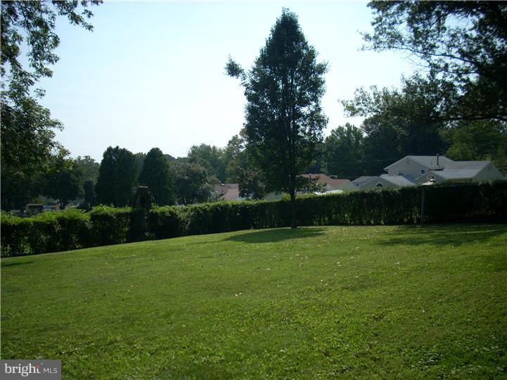 View in Back