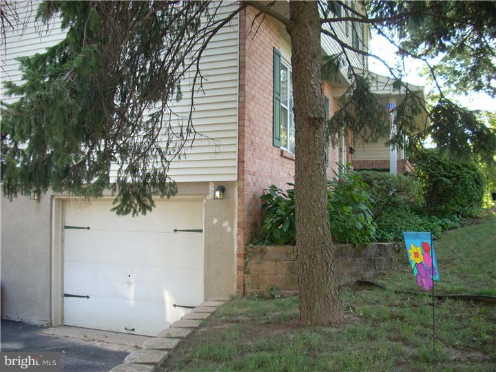 Side Yard