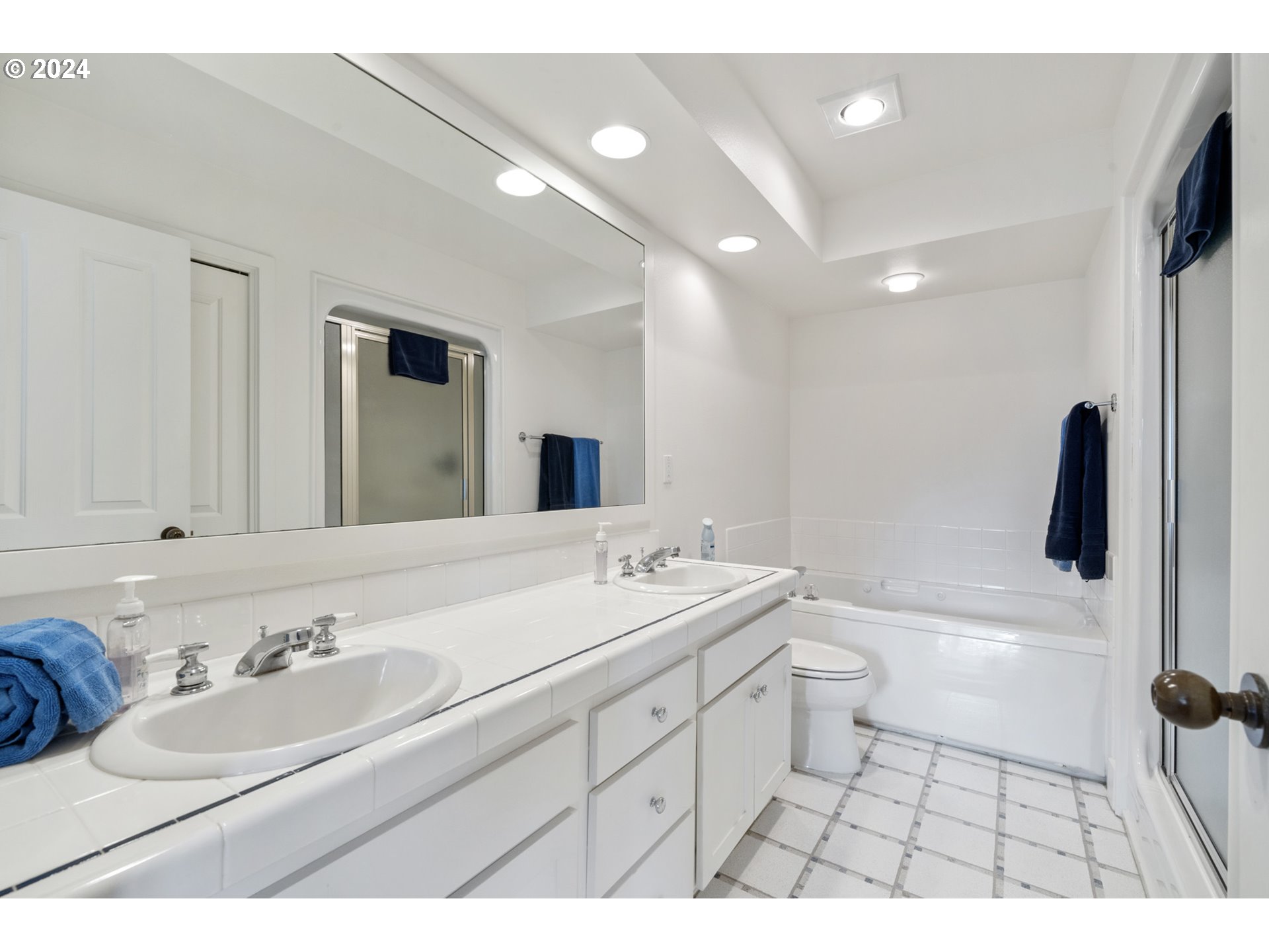250 Capes Drive Oceanside, OR 97141 - Photo 27 of 38 a bathroom with a sink a toilet a mirror and bathtub