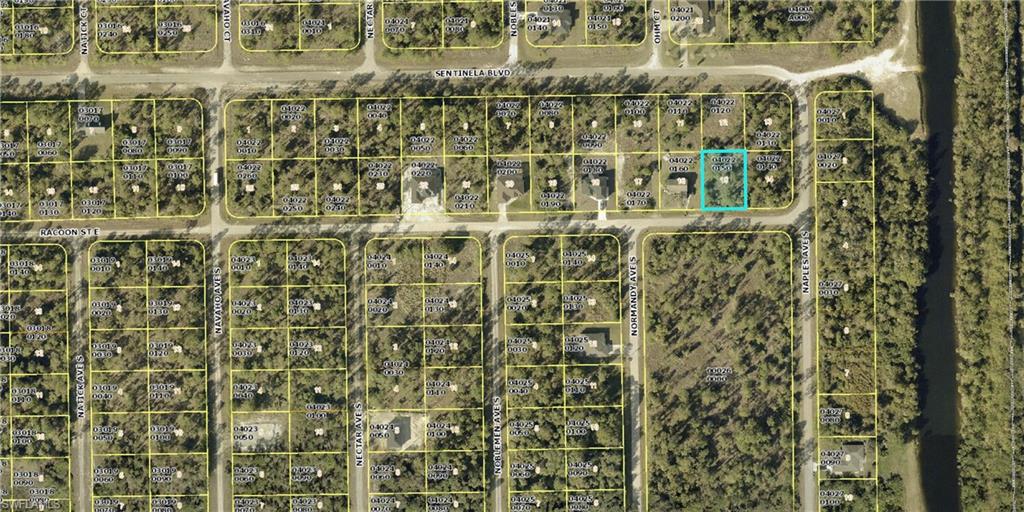 1245 Racoon Street Lehigh Acres, FL 33974 - Photo 2 of 2