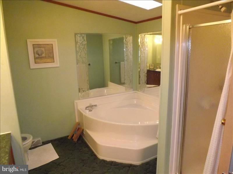 50 Valley Bottom Road Aberdeen, MD 21001 - Photo 18 of 25 Bath (Master)