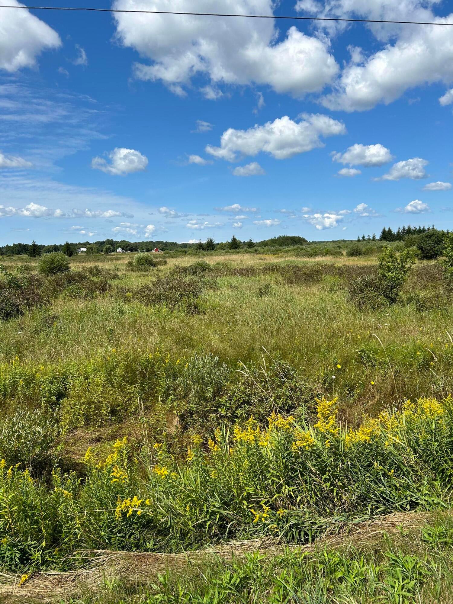 Inverness Road Cheboygan, MI 49721 - Photo 1 of 4 Gallery Image 1