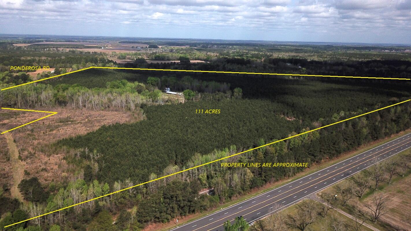 305 Ponderosa Road St. Matthews, SC 29135 - Photo 2 of 19 DJI_0047