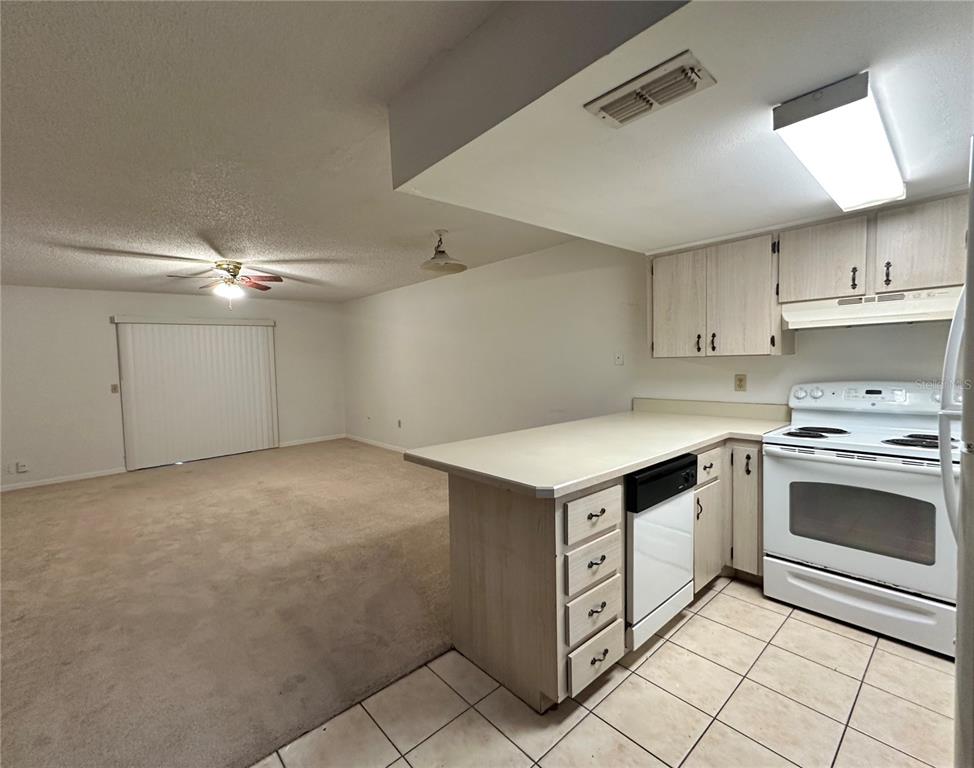 69 Village Drive Flagler Beach, FL 32136 - Photo 2 of 18