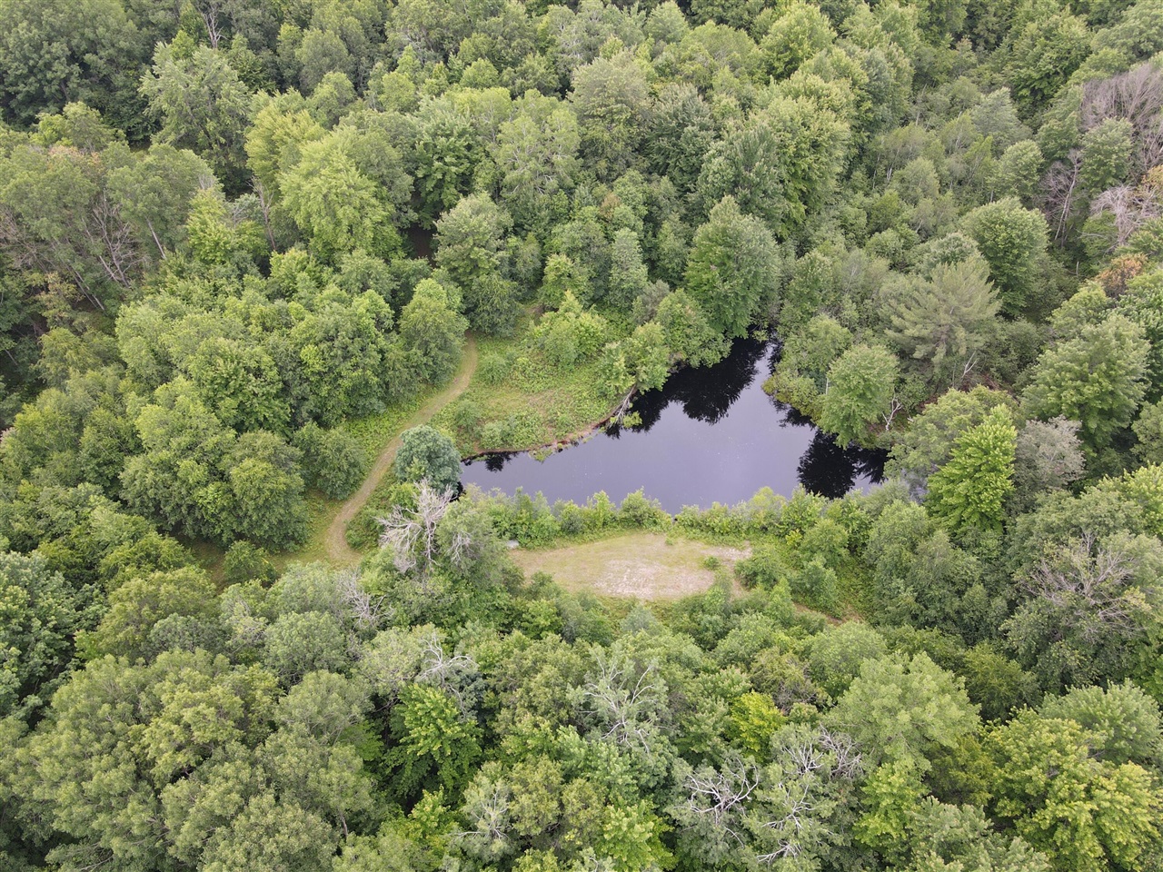 11401 Little George Lake Road Gladwin, MI 48624 - Photo 33 of 98