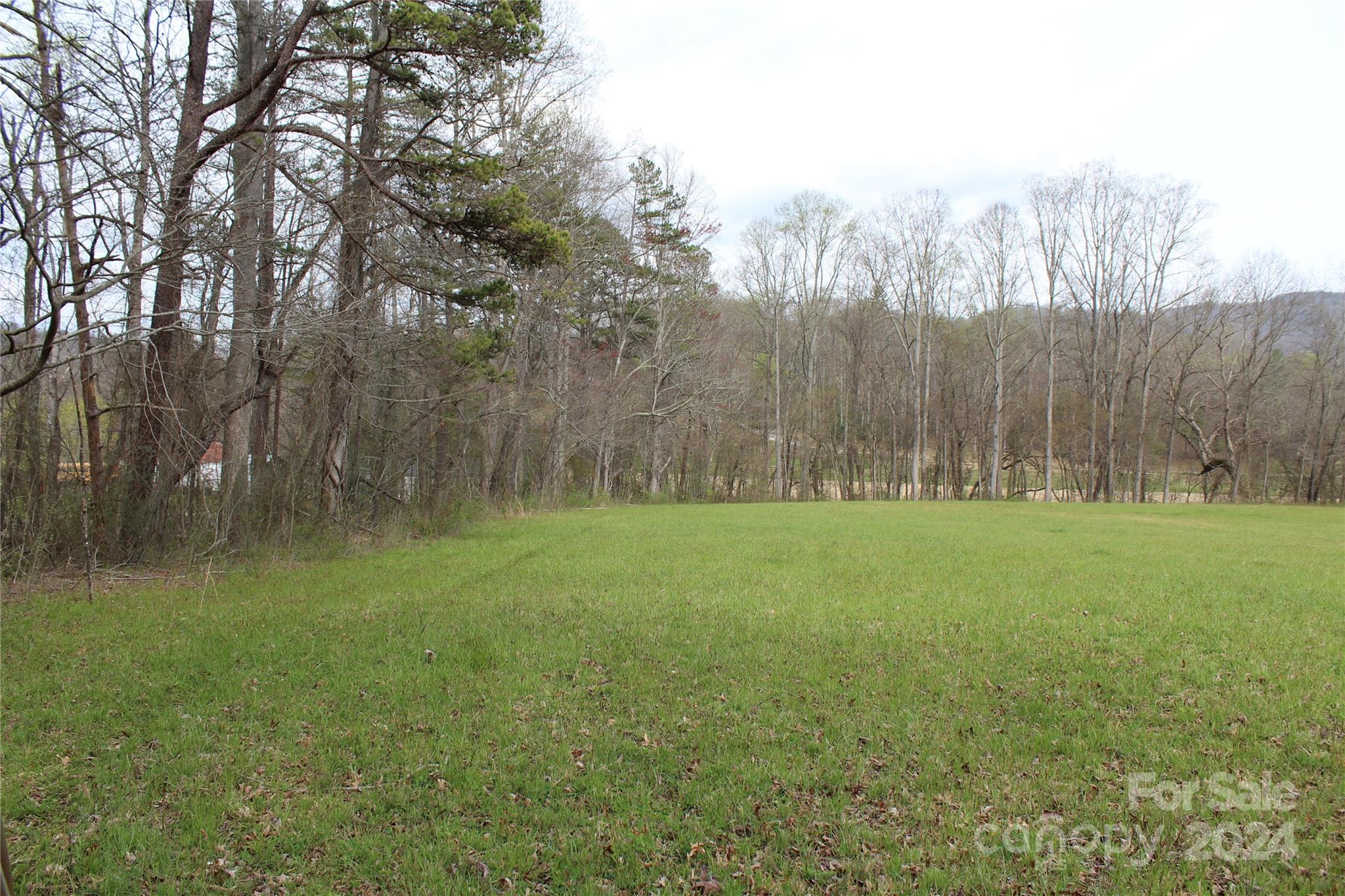 0 Lindsey Loop Road, Unit 1 Fletcher, NC 28732 - Photo 6 of 16 a view of outdoor space with green field and trees