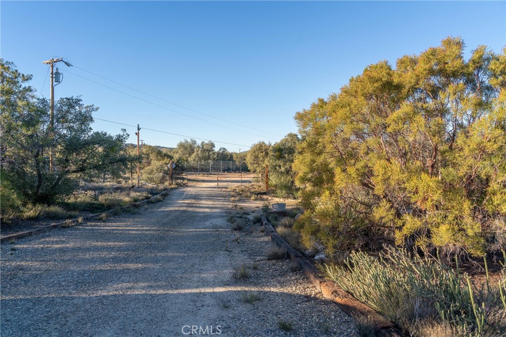 44270 Arya Court Anza, CA 92539 - Photo 42 of 64 a view of a yard with some trees