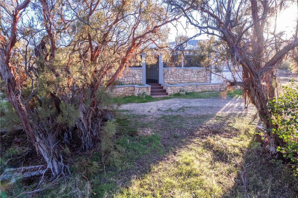 44270 Arya Court Anza, CA 92539 - Photo 50 of 64 a view of a yard with plants and trees