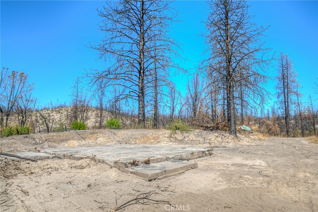 315 Harrison Springs Road Berry Creek, CA 95916 - Photo 4 of 13