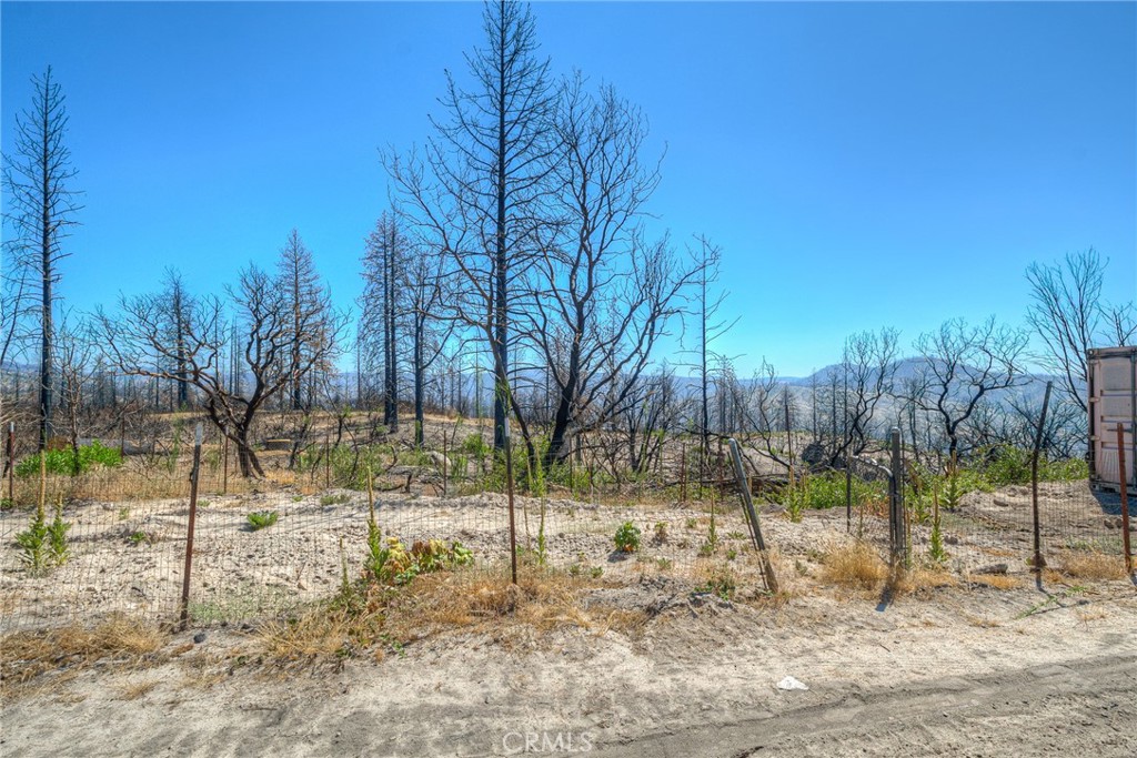 315 Harrison Springs Road Berry Creek, CA 95916 - Photo 6 of 13