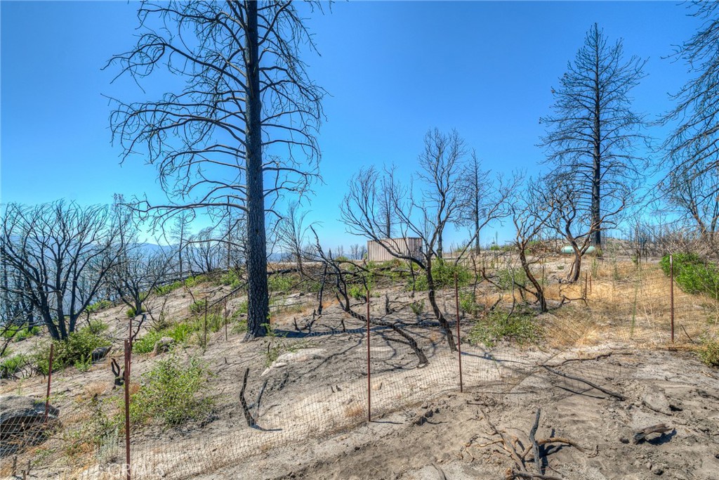 315 Harrison Springs Road Berry Creek, CA 95916 - Photo 8 of 13