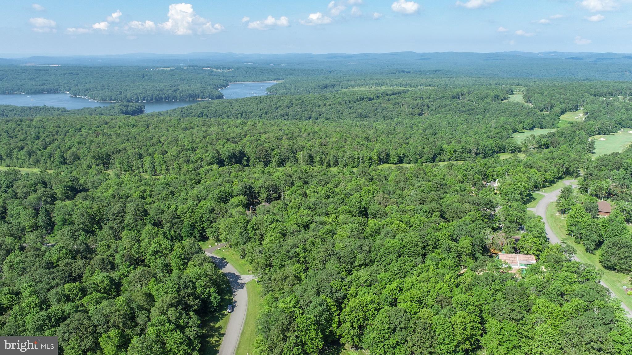 36 Fern Loop Oakland, MD 21550 - Photo 11 of 15
