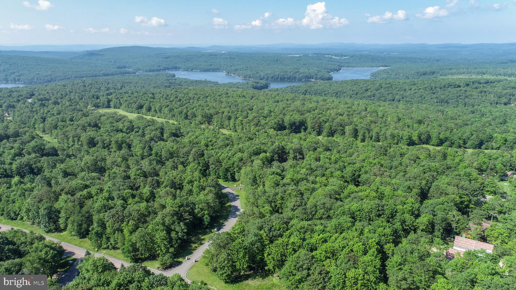 36 Fern Loop Oakland, MD 21550 - Photo 12 of 15