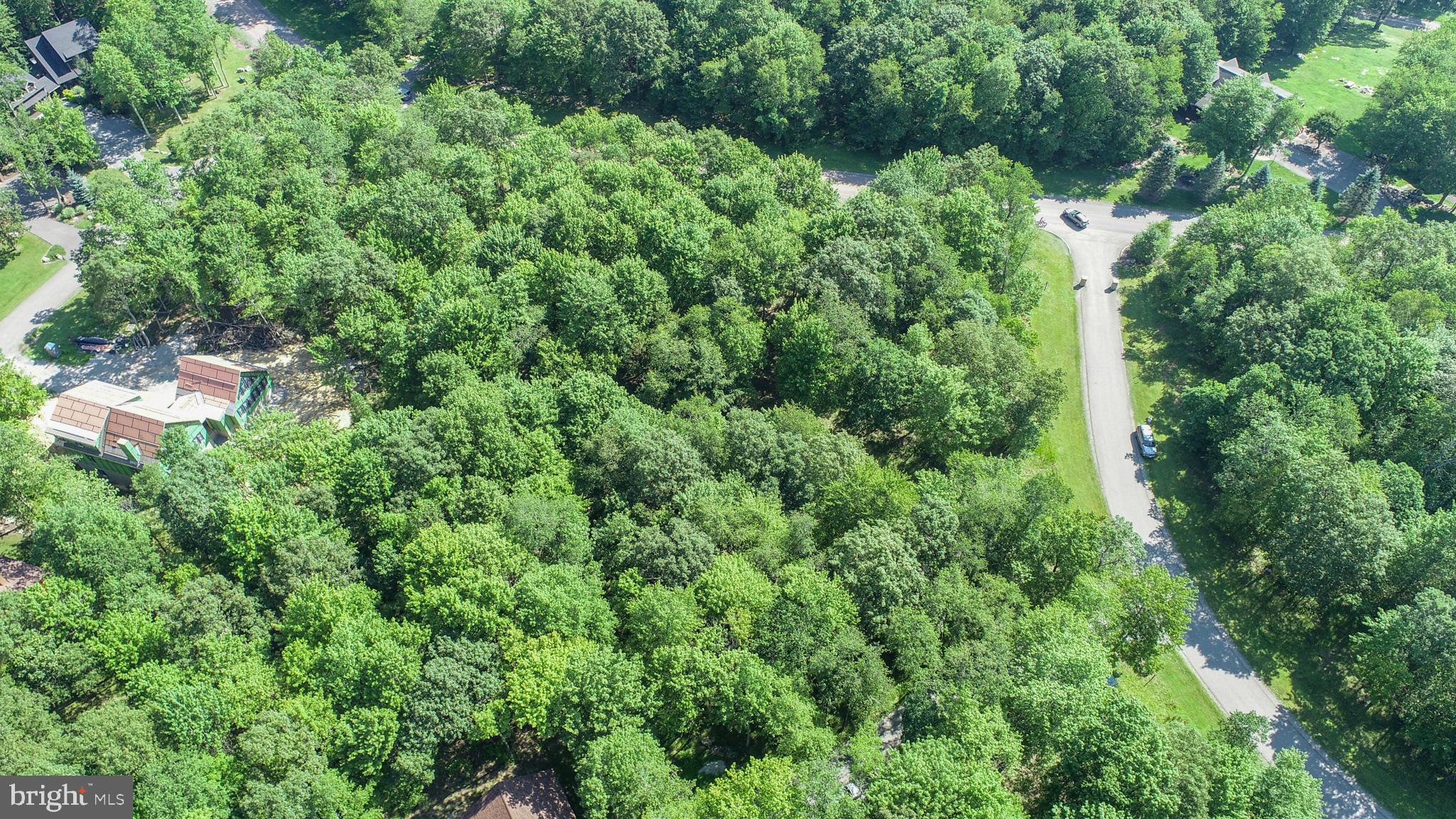 36 Fern Loop Oakland, MD 21550 - Photo 15 of 15