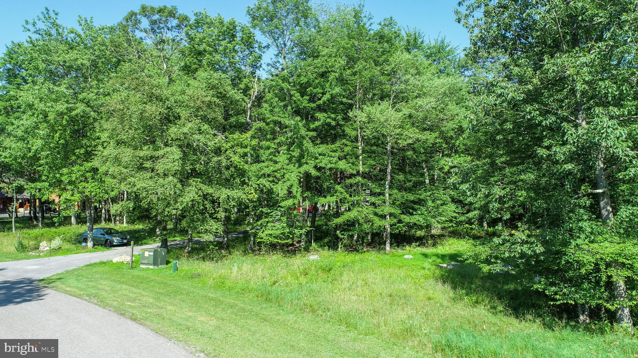 36 Fern Loop Oakland, MD 21550 - Photo 2 of 15