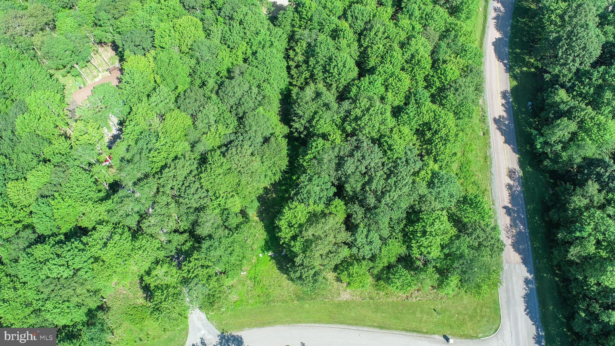 36 Fern Loop Oakland, MD 21550 - Photo 8 of 15