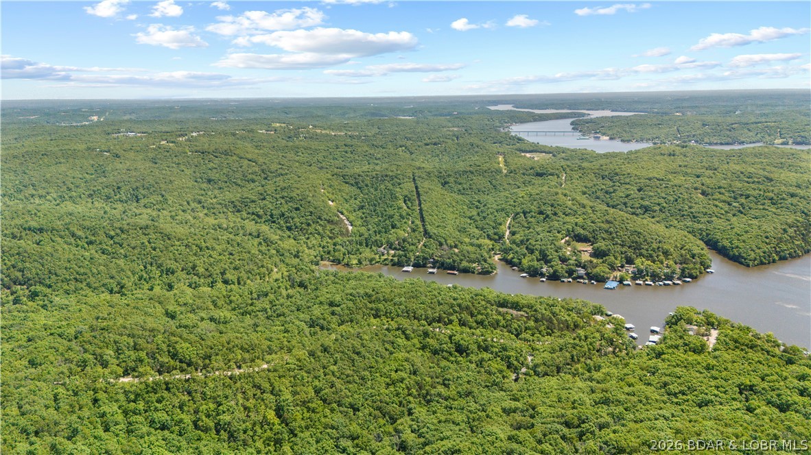 5-acres Pirates Pirates Cove Road Camdenton, MO 65020 - Photo 20 of 30
