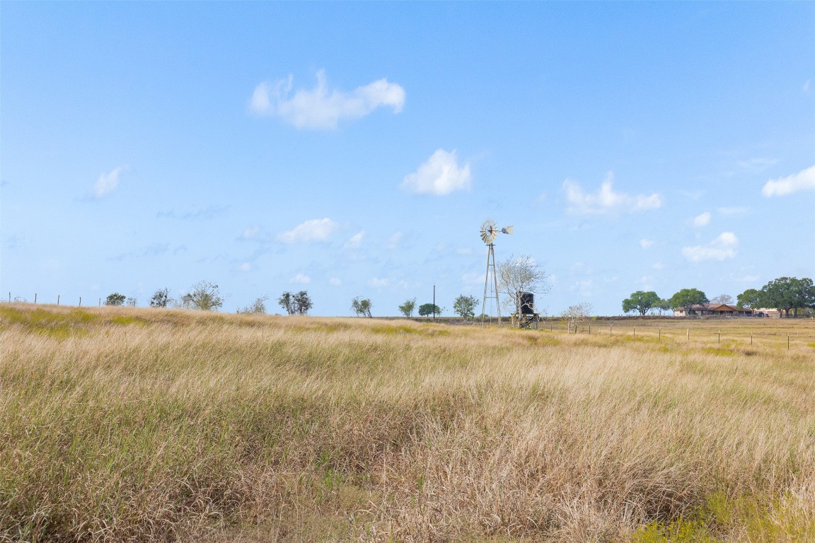 2 County Road 291 Shiner, TX 77984 - Photo 7 of 9 View of local wilderness with rural landscape
