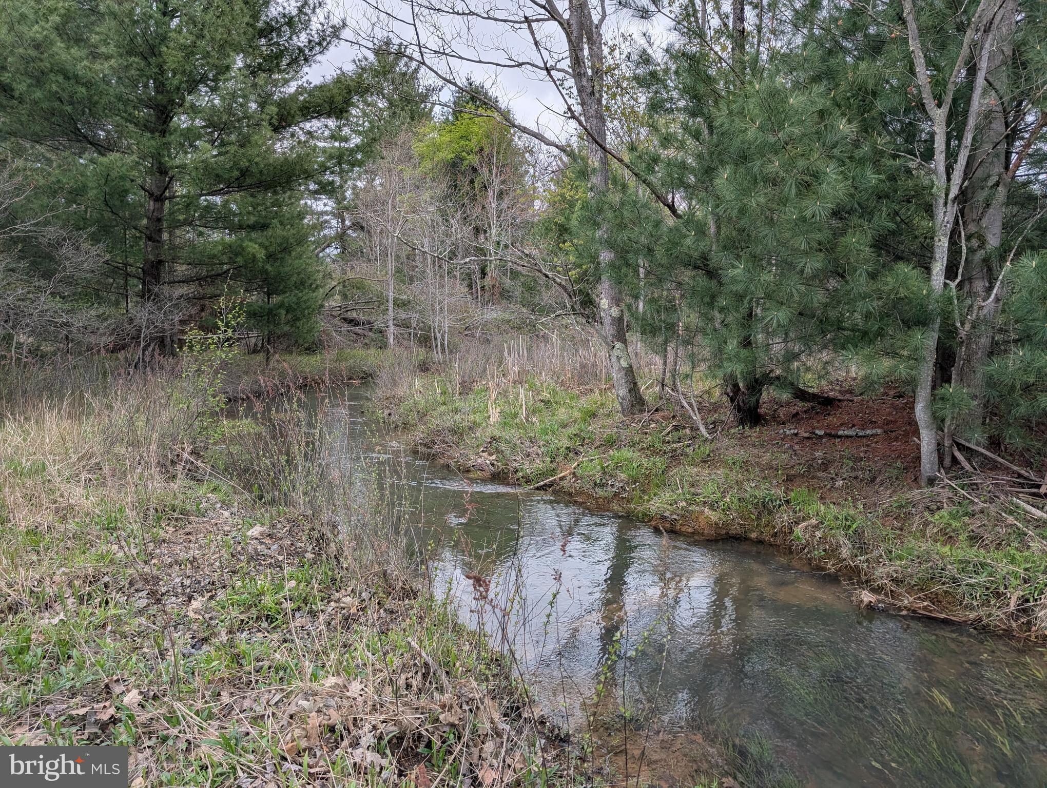 1532 Clarence Road Clarence, PA 16829 - Photo 4 of 35 a view of a lake with a forest