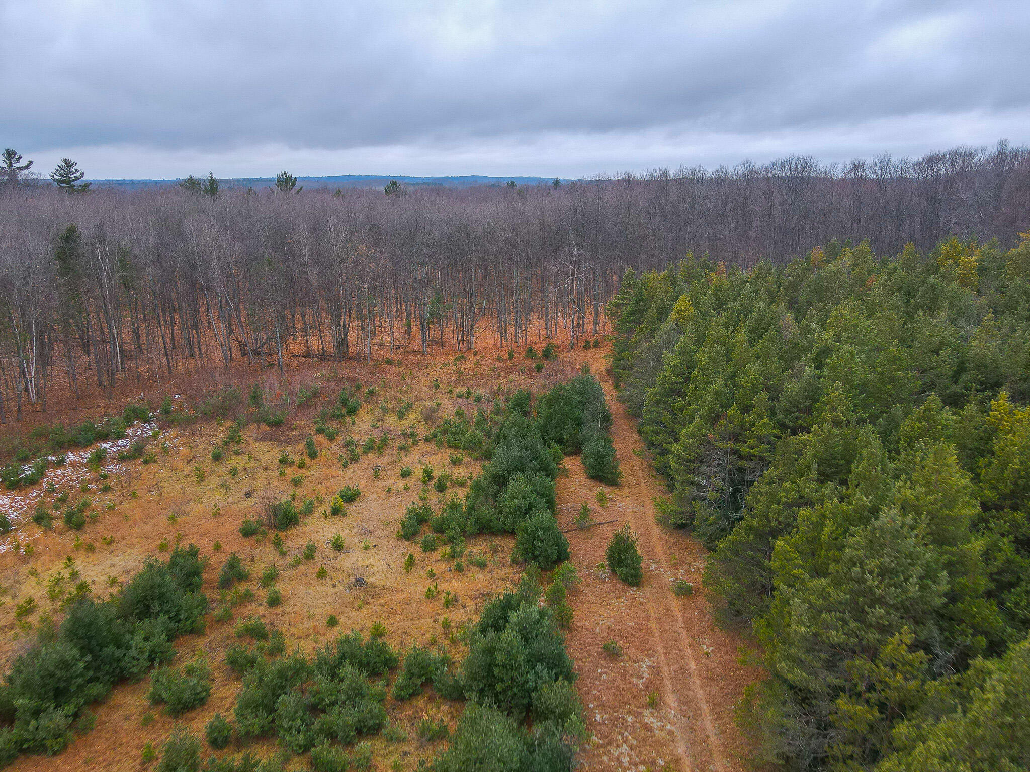 V/l Wolfe Road Fife Lake, MI 49633 - Photo 11 of 23 dji_fly_20231217_115454_205_170283214617