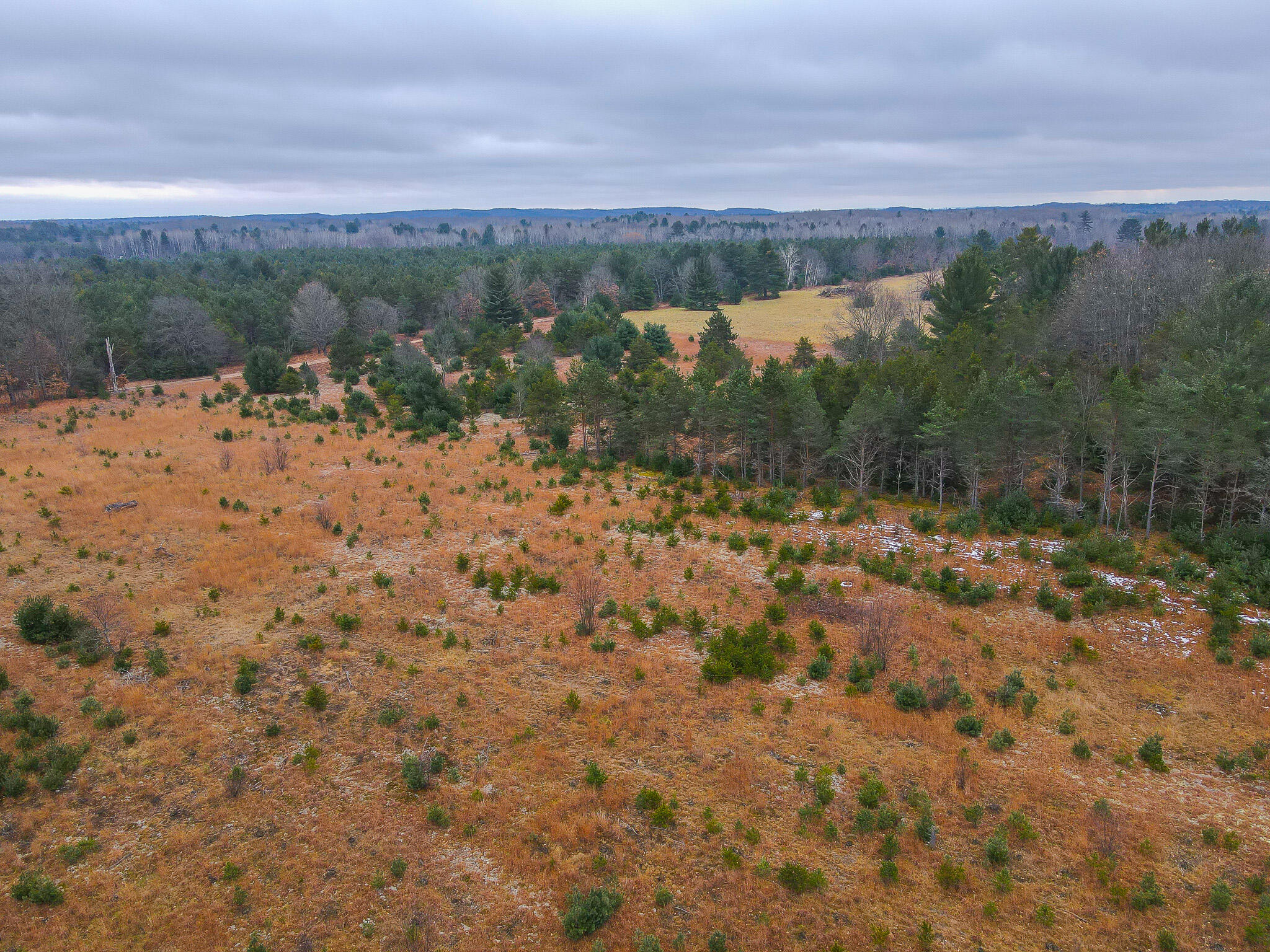 V/l Wolfe Road Fife Lake, MI 49633 - Photo 12 of 23 dji_fly_20231217_115458_206_170283213771