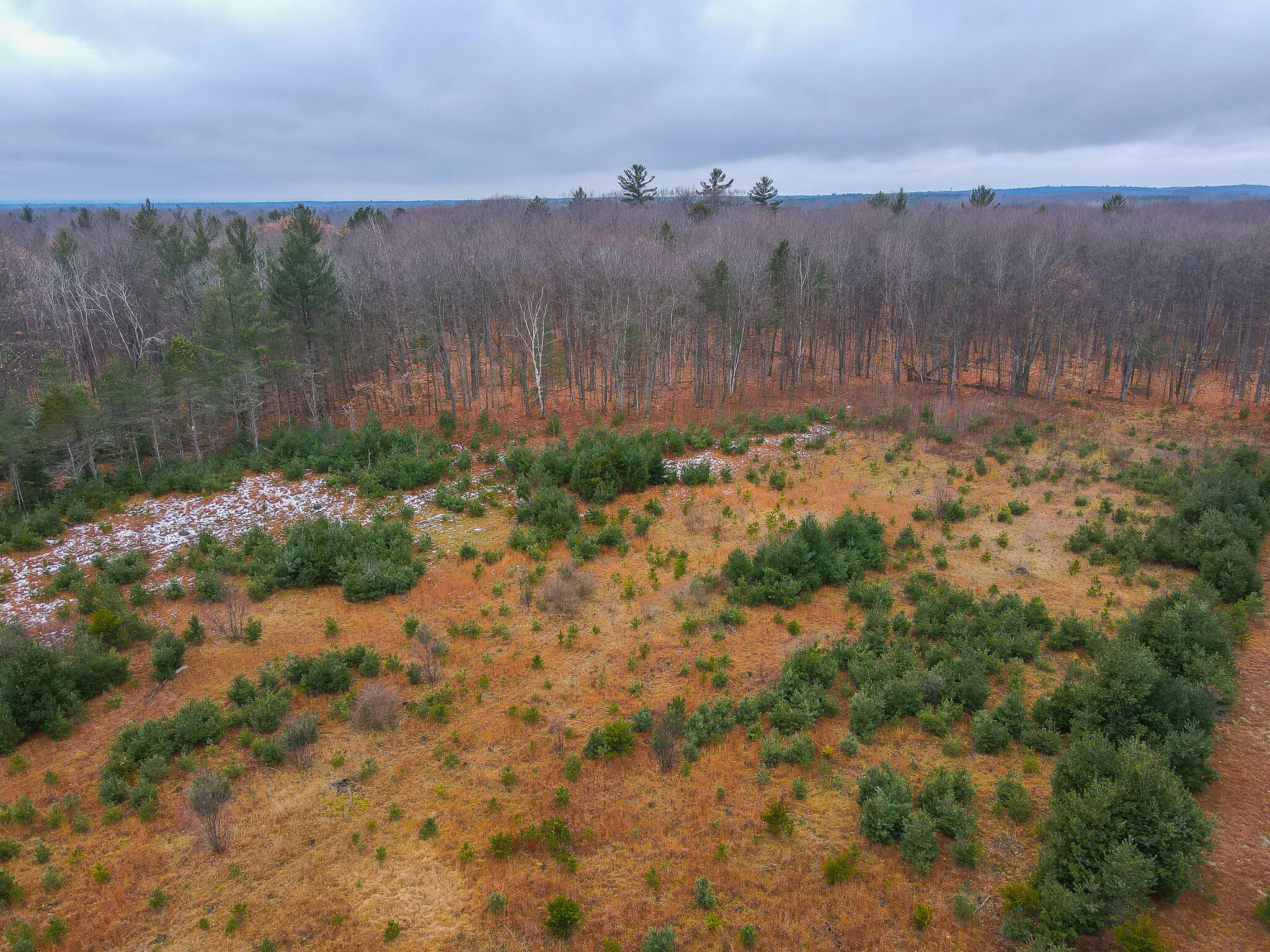 V/l Wolfe Road Fife Lake, MI 49633 - Photo 13 of 23 dji_fly_20231217_115500_207_170283214220