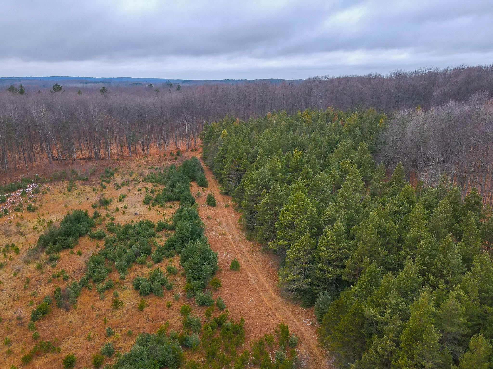 V/l Wolfe Road Fife Lake, MI 49633 - Photo 14 of 23 dji_fly_20231217_115510_208_170283213348