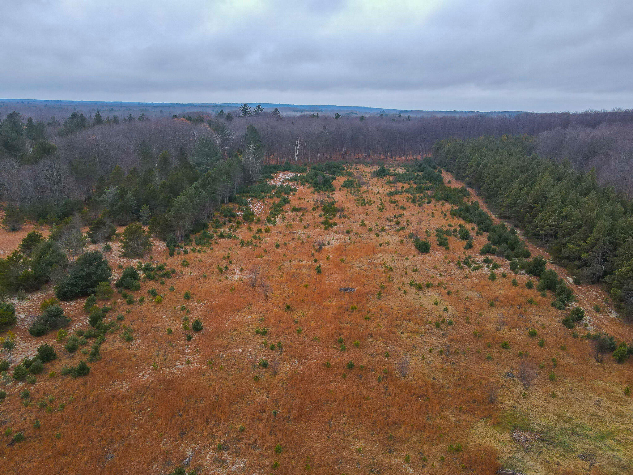 V/l Wolfe Road Fife Lake, MI 49633 - Photo 2 of 23 dji_fly_20231217_114858_185_170283174639