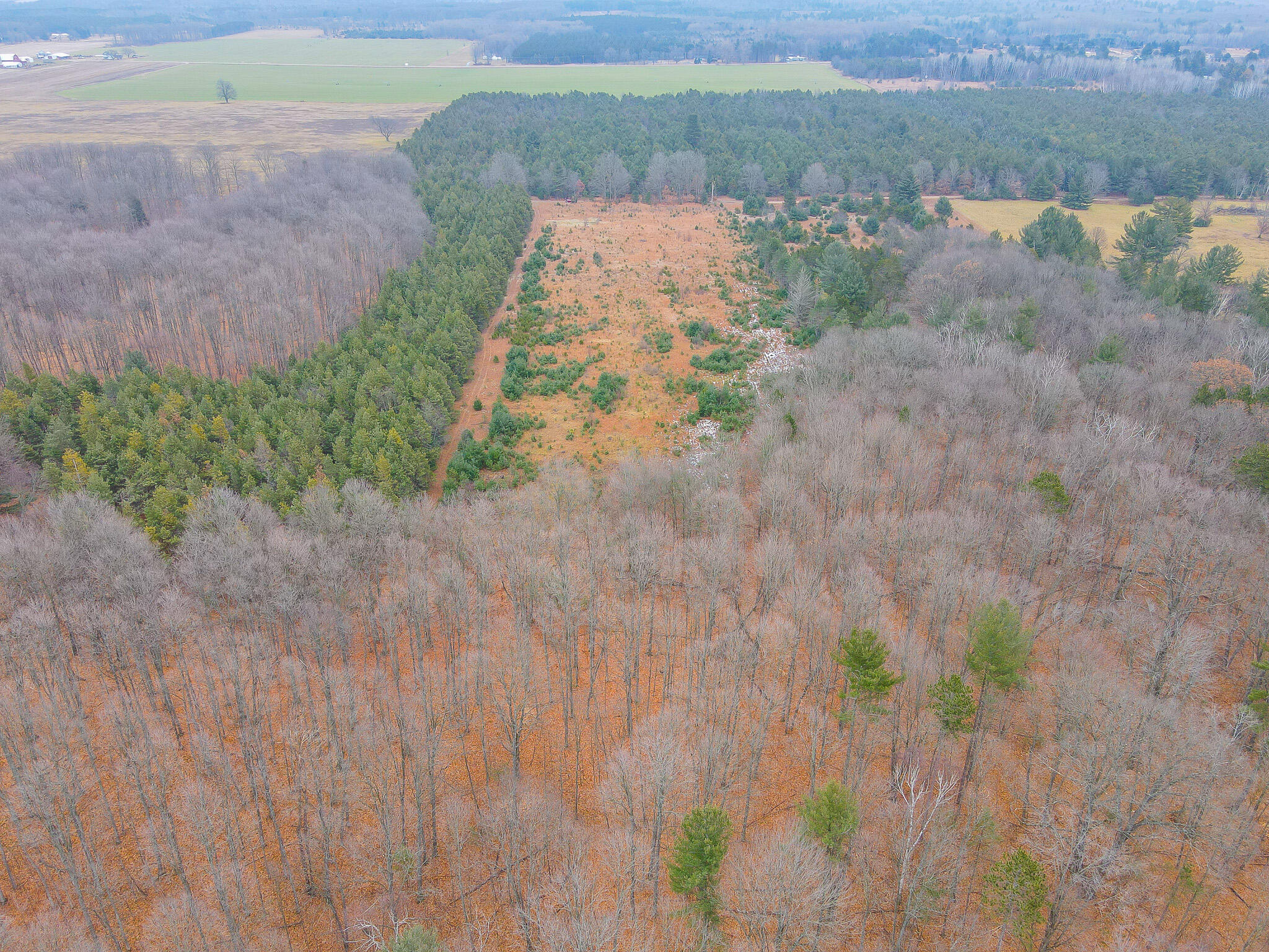 V/l Wolfe Road Fife Lake, MI 49633 - Photo 5 of 23 dji_fly_20231217_115142_192_170283191069
