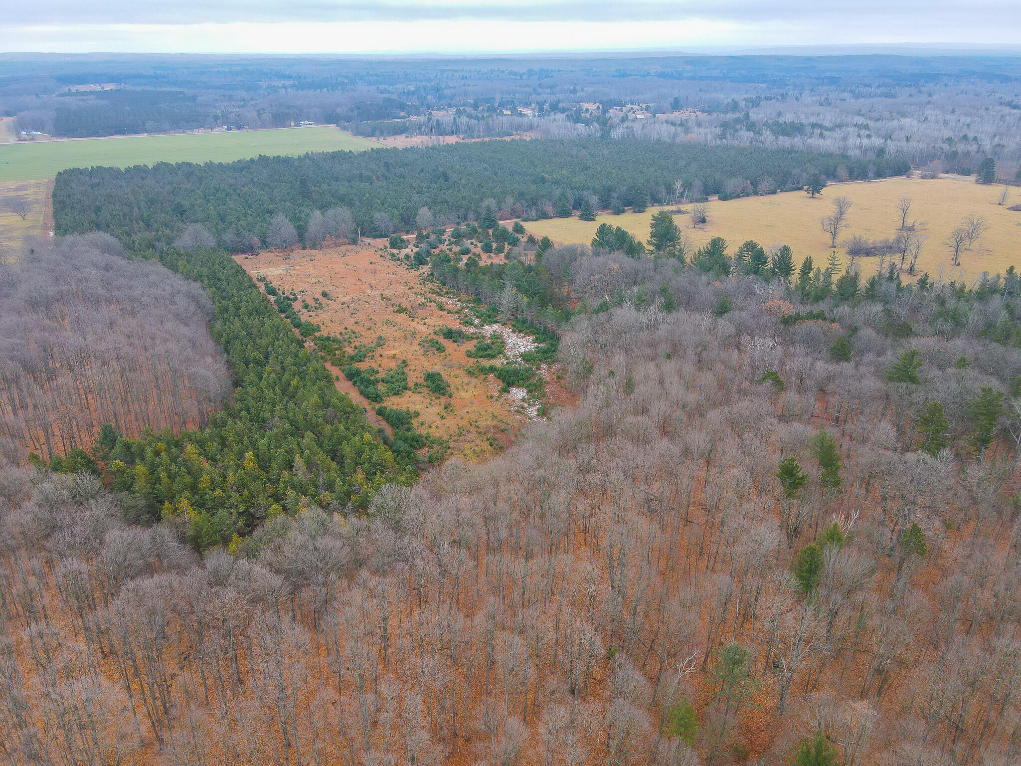V/l Wolfe Road Fife Lake, MI 49633 - Photo 6 of 23 dji_fly_20231217_115202_194_170283193129