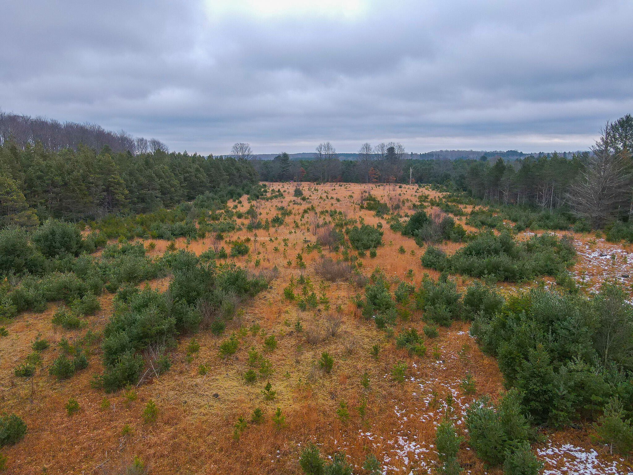 V/l Wolfe Road Fife Lake, MI 49633 - Photo 8 of 23 dji_fly_20231217_115356_200_170283209509