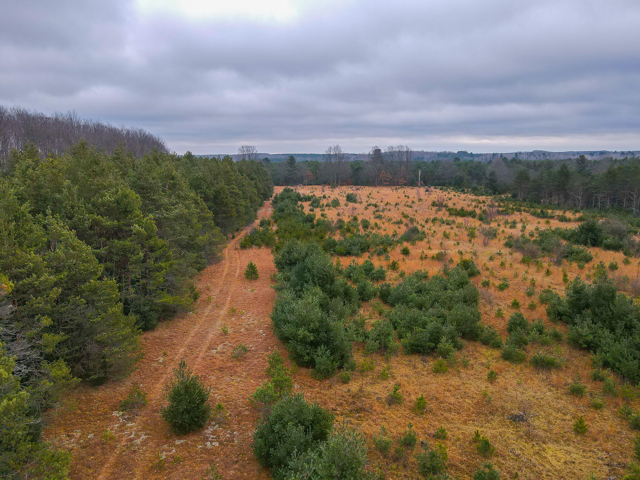 V/l Wolfe Road Fife Lake, MI 49633 - Photo 9 of 23 dji_fly_20231217_115406_201_170283208667