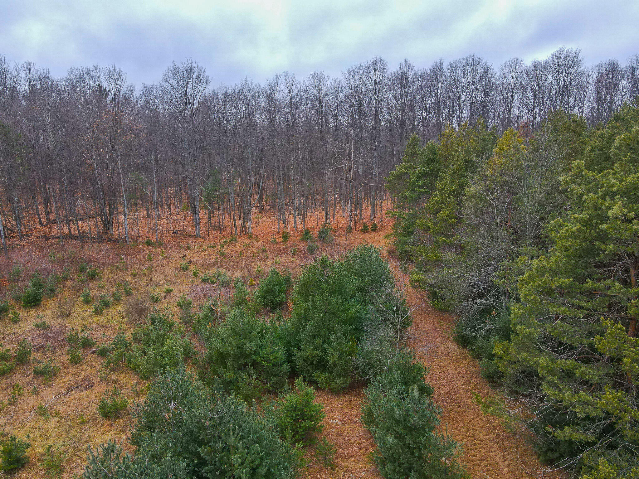 V/l Wolfe Road Fife Lake, MI 49633 - Photo 10 of 23 dji_fly_20231217_115446_204_170283214703