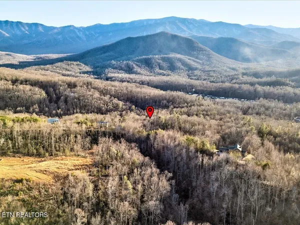 $99,000 | Lot 31 Sonshine Ridge Road, Cosby, TN 37722