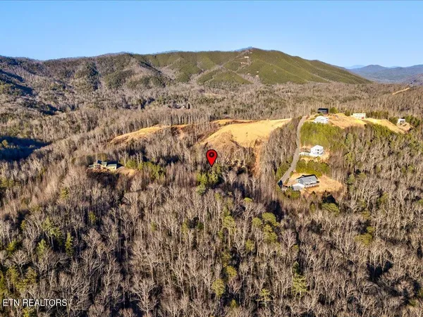 $99,000 | Lot 31 Sonshine Ridge Road, Cosby, TN 37722