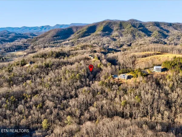 $99,000 | Lot 31 Sonshine Ridge Road, Cosby, TN 37722