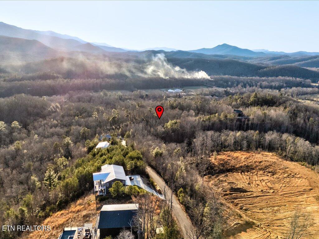 Lot 31 Sonshine Ridge Road Cosby, TN 37722 - Photo 15 of 25 Lot 31 Sonshine Ridge Rd - 15