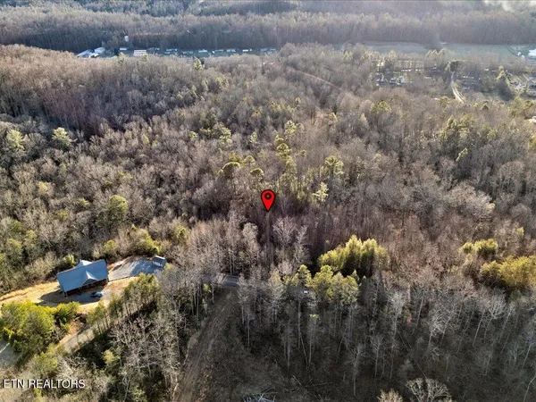 $99,000 | Lot 31 Sonshine Ridge Road, Cosby, TN 37722