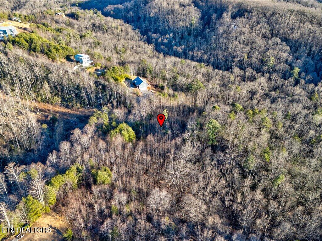 Lot 31 Sonshine Ridge Road Cosby, TN 37722 - Photo 18 of 25 Lot 31 Sonshine Ridge Rd - 18