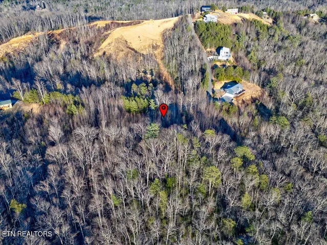 $99,000 | Lot 31 Sonshine Ridge Road, Cosby, TN 37722