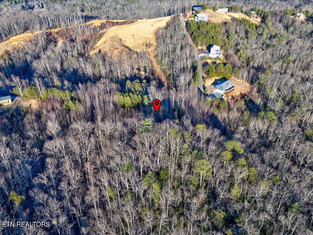 Lot 31 Sonshine Ridge Road Cosby, TN 37722 - Photo 19 of 25 Lot 31 Sonshine Ridge Rd - 19