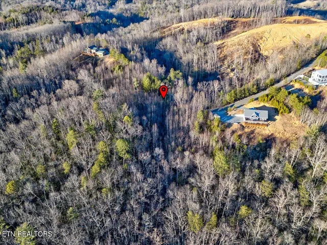 $99,000 | Lot 31 Sonshine Ridge Road, Cosby, TN 37722