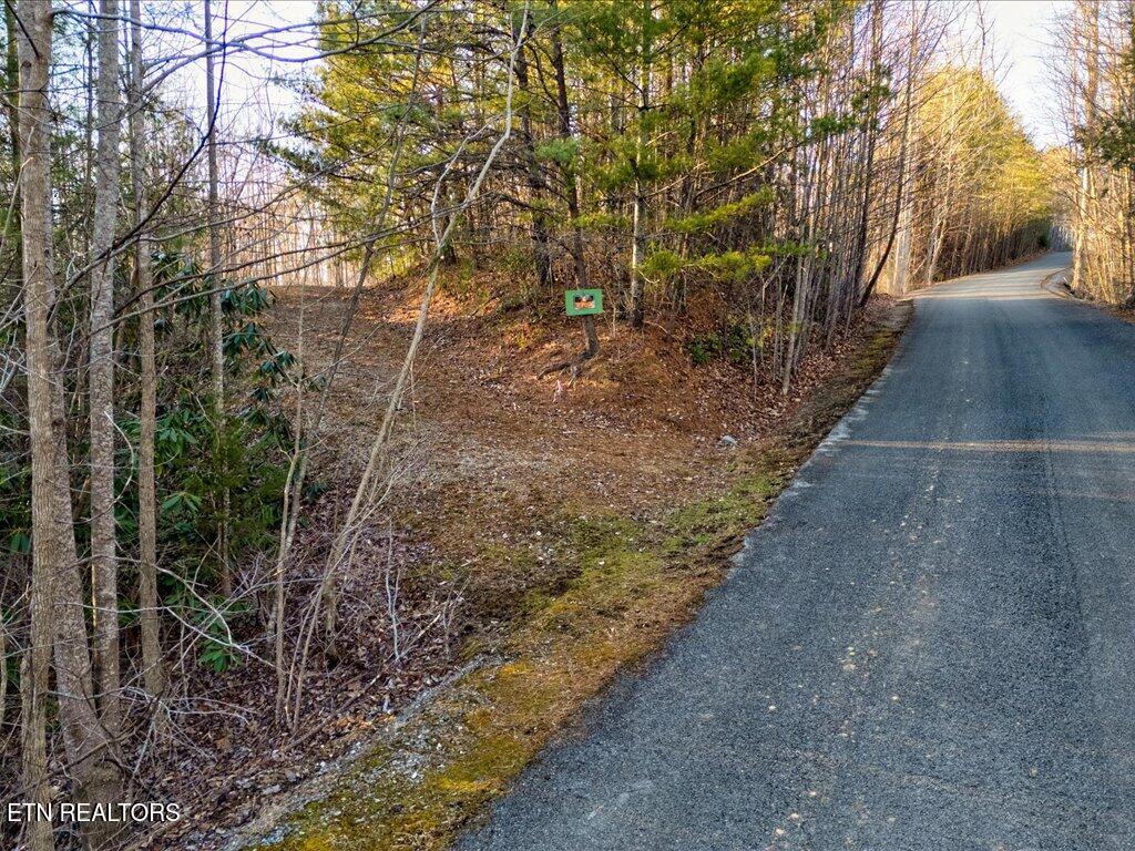 Lot 31 Sonshine Ridge Road Cosby, TN 37722 - Photo 2 of 25 Lot 31 Sonshine Ridge Rd - 2