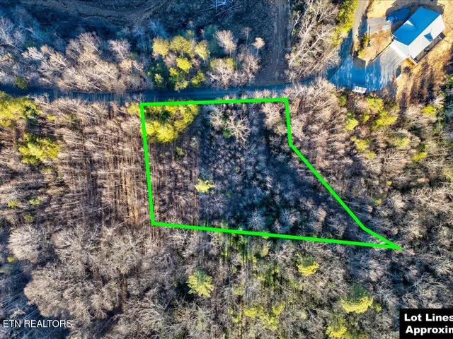 $99,000 | Lot 31 Sonshine Ridge Road, Cosby, TN 37722