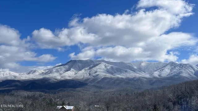 $99,000 | Lot 31 Sonshine Ridge Road, Cosby, TN 37722