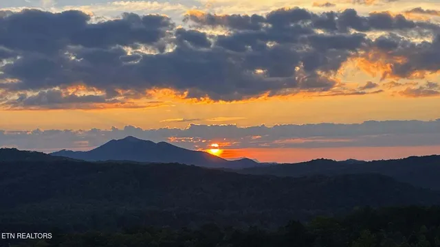 $99,000 | Lot 31 Sonshine Ridge Road, Cosby, TN 37722